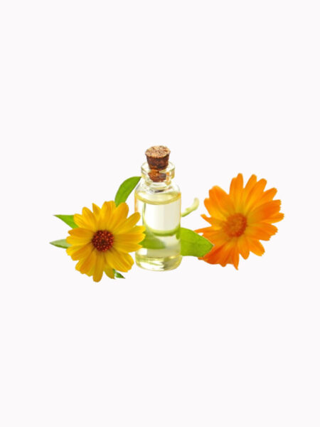 Organic Body Oil